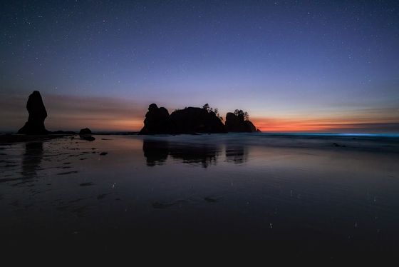 Olympic National Park 