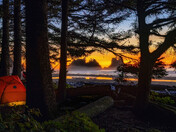 Olympic National Park 