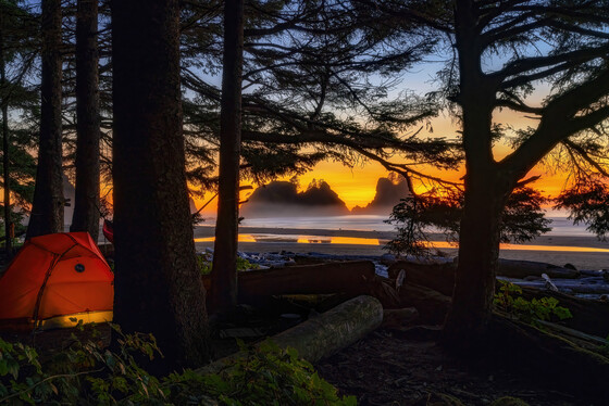 Olympic National Park 