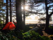 Olympic National Park 