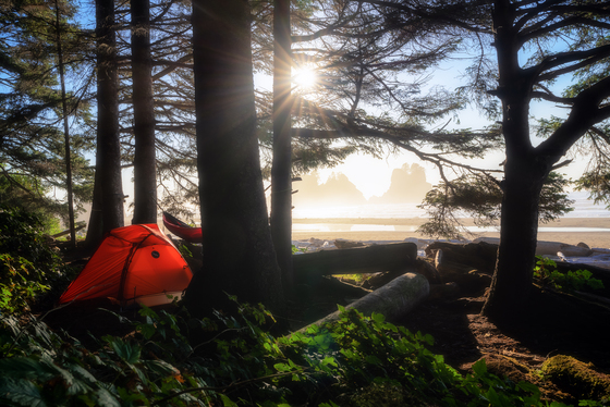 Olympic National Park 