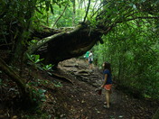 Nantahala National Forest