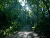 Nantahala National Forest