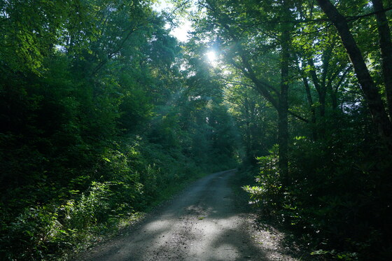 Nantahala National Forest
