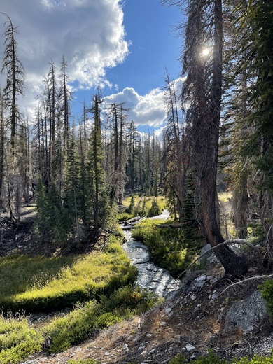 Lassen Volcanic National Park