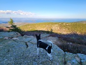 Acadia National Park