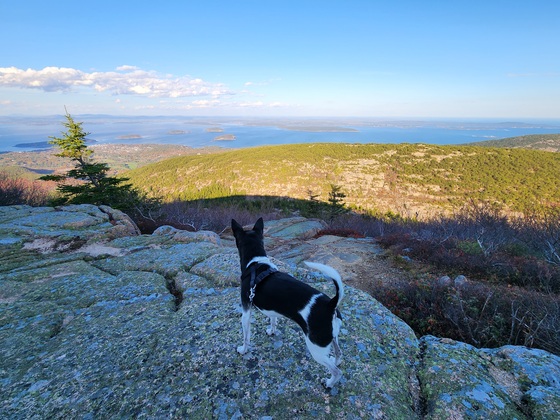 Acadia National Park