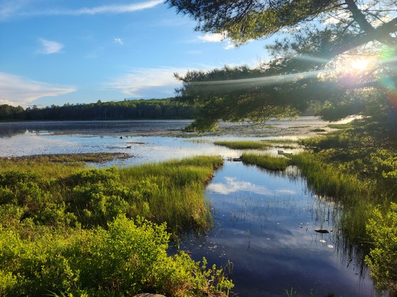 Acadia National Park