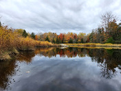 Acadia National Park