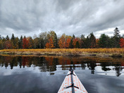 Acadia National Park
