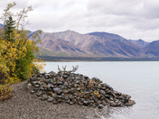 Lake Clark National Park & Preserve