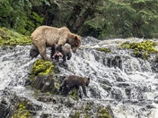 Tongass National Forest