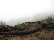 Deschutes National Forest