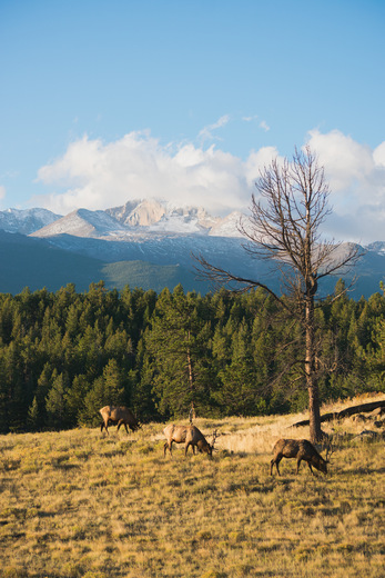 Rocky Mountain National Park
