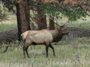 Rocky Mountain National Park