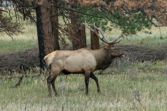 Rocky Mountain National Park