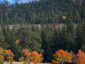 Rocky Mountain National Park