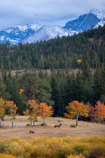 Rocky Mountain National Park