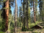 Yosemite National Park