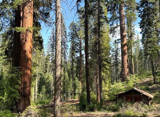 Yosemite National Park