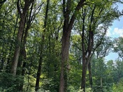 Woodend Nature Sanctuary - Chesapeake Gateways