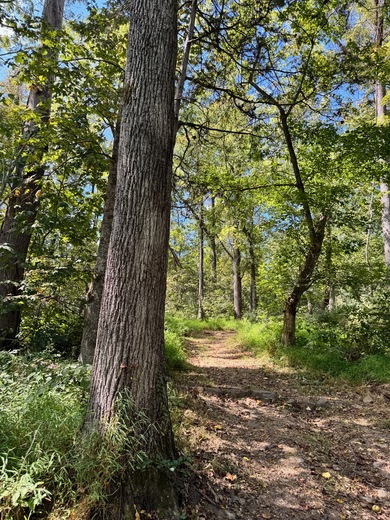 Manassas National Battlefield Park