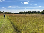 Manassas National Battlefield Park