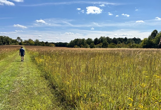 Manassas National Battlefield Park