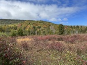 Monongahela National Forest