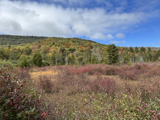 Monongahela National Forest