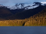 Tongass National Forest