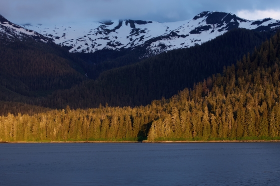 Tongass National Forest
