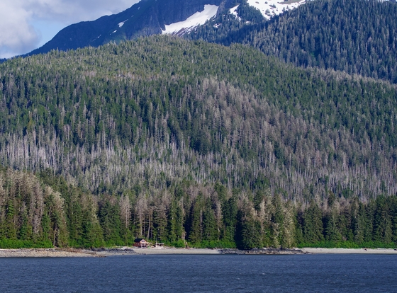 Tongass National Forest