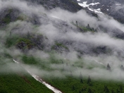 Tongass National Forest