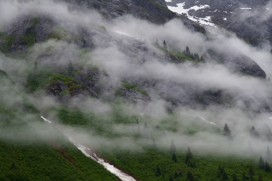 Tongass National Forest