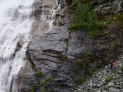 Tongass National Forest