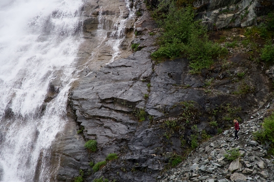 Tongass National Forest