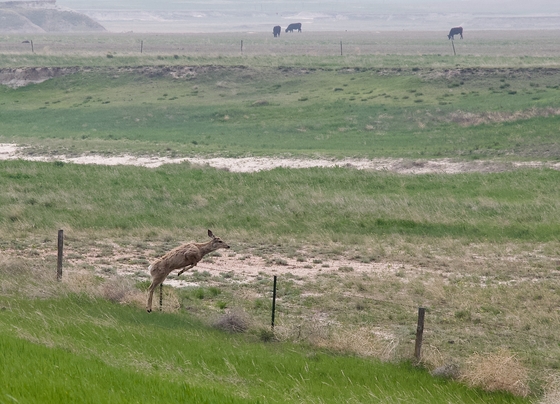 Badlands National Park