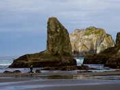 Oregon Islands National Wildlife Refuge