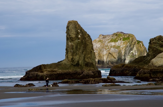 Oregon Islands National Wildlife Refuge