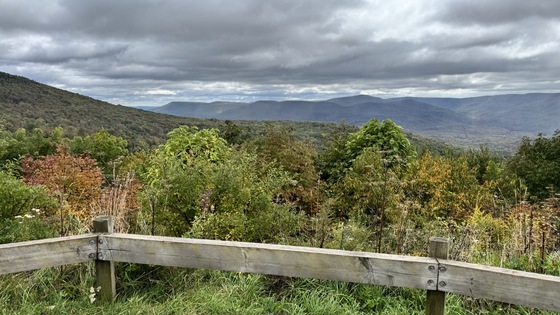 Monongahela National Forest