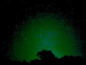 Monongahela National Forest