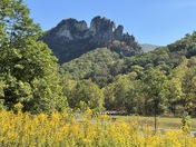 Monongahela National Forest
