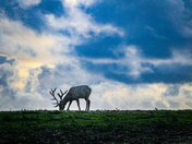 Point Reyes National Seashore