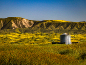 Carrizo Plain National Monument