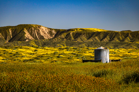 Carrizo Plain National Monument