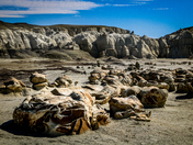 Bisti / De-Na-Zin Wilderness Area