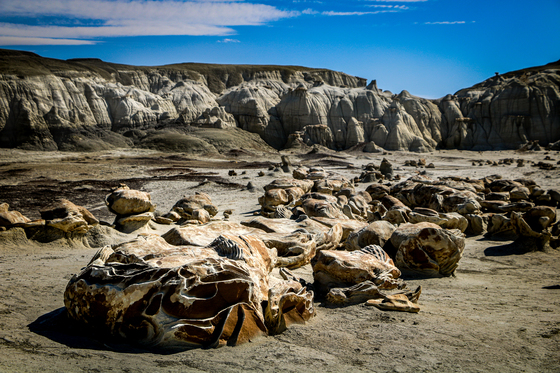 Bisti / De-Na-Zin Wilderness Area