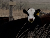 Badlands National Park
