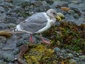 Transition Nearly Complete